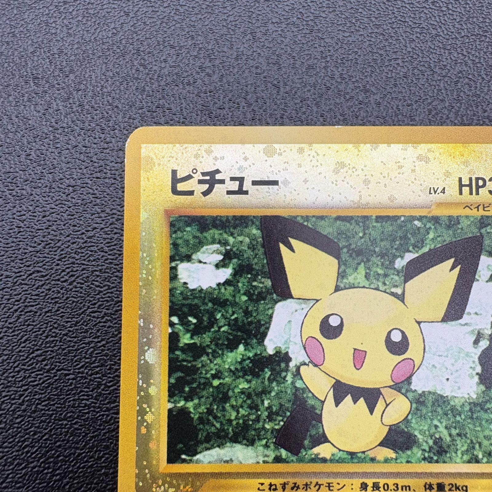 ピチュー LV.4 HP30 No.172 プレミアムファイル2 プロモ ポケモン