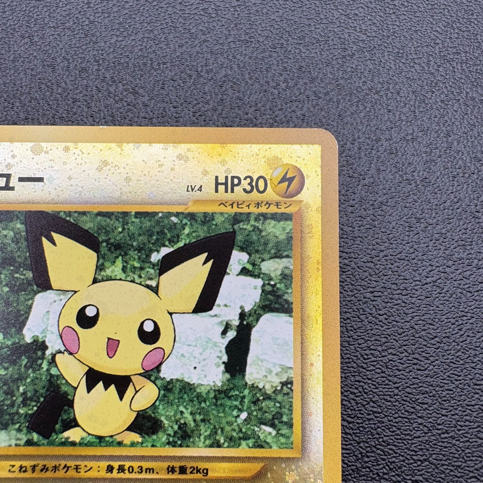 ピチュー LV.4 HP30 No.172 プレミアムファイル2 プロモ ポケモン