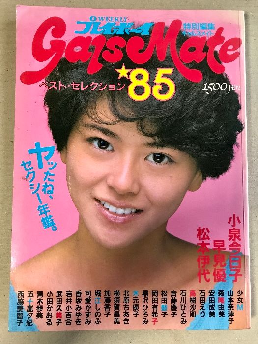 週刊プレイボーイ特別編集 GALS MATE 85 ギャルズ メイト 綴込み