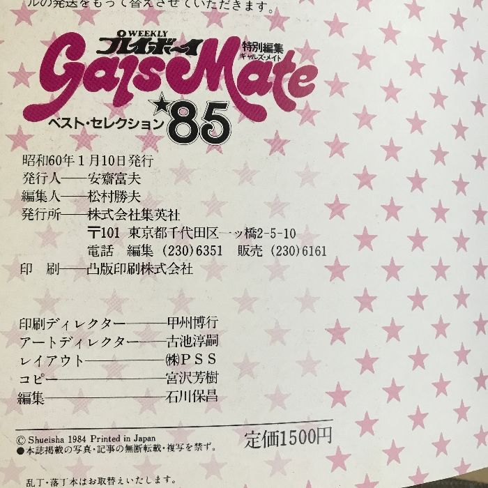 週刊プレイボーイ特別編集 GALS MATE 85 ギャルズ メイト 綴込み