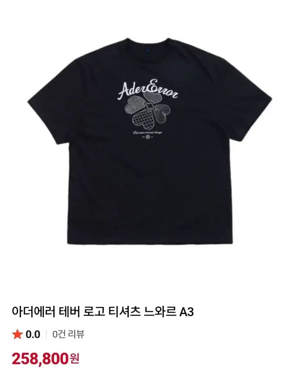 ADER ERROR アーダーエラー 正規品 メンズ 半袖Tシャツ