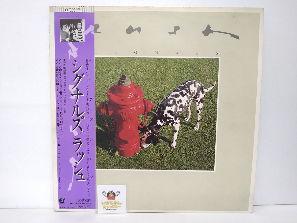 LP盤レコード｜RUSH ラッシュ｜SIGNALS シグナルズ｜帯、ブックレット付き｜EPIC・ソニー｜25-3P-378【M005】