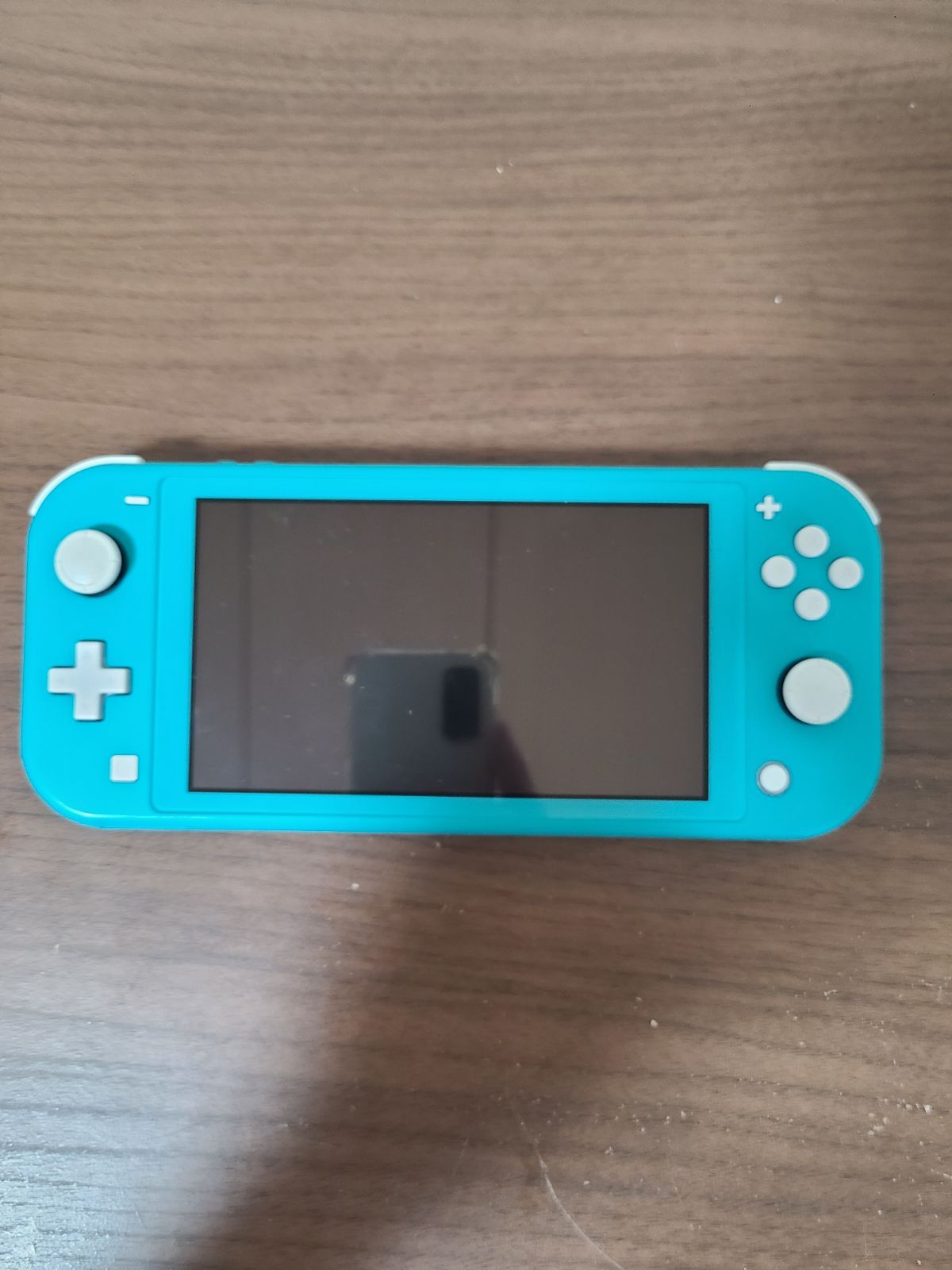 ニンテンドースイッチライト 本体のみ 難あり HDH-001 NINTENDO switch Lite