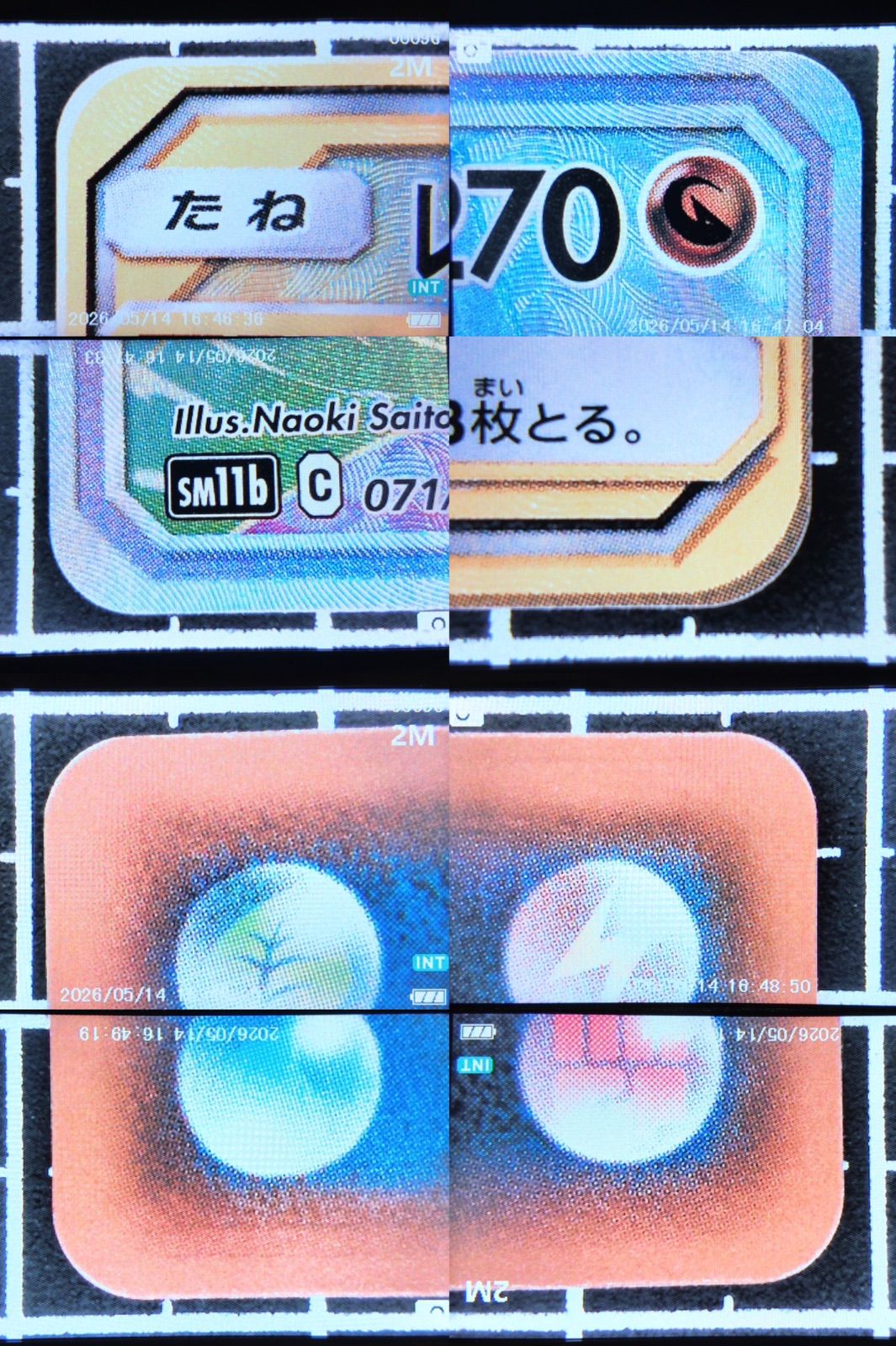 レシラム＆ゼクロム GX (N) HR[SM11b 071/049](強化拡張パック