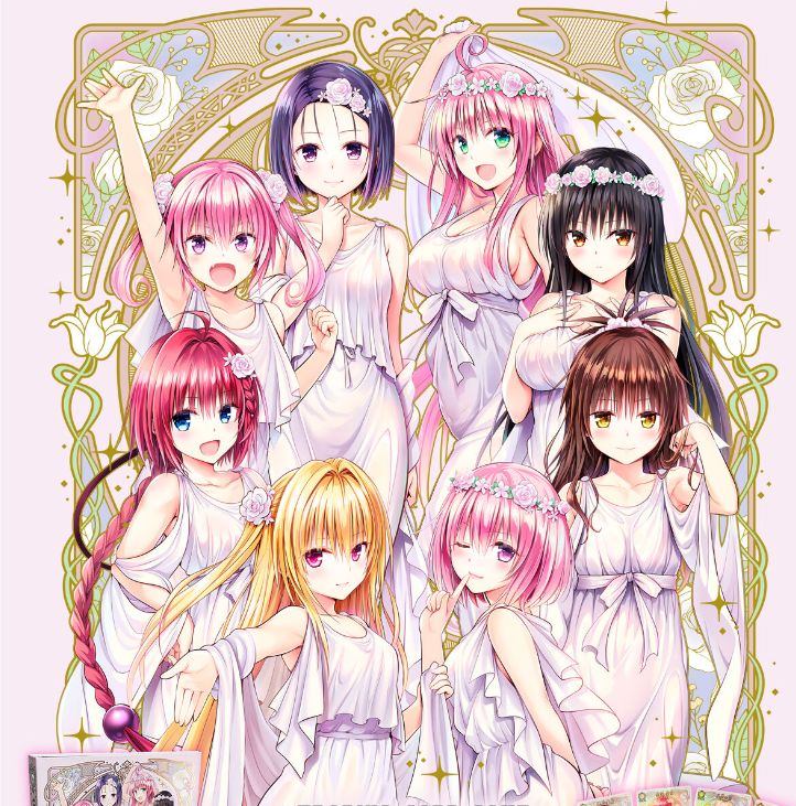 【新品未開封】UNION ARENA To LOVEる-とらぶる- 9ポケットバインダーセット 矢吹健太朗 箔押し仕様 APカード付属 ユニオンアリーナ