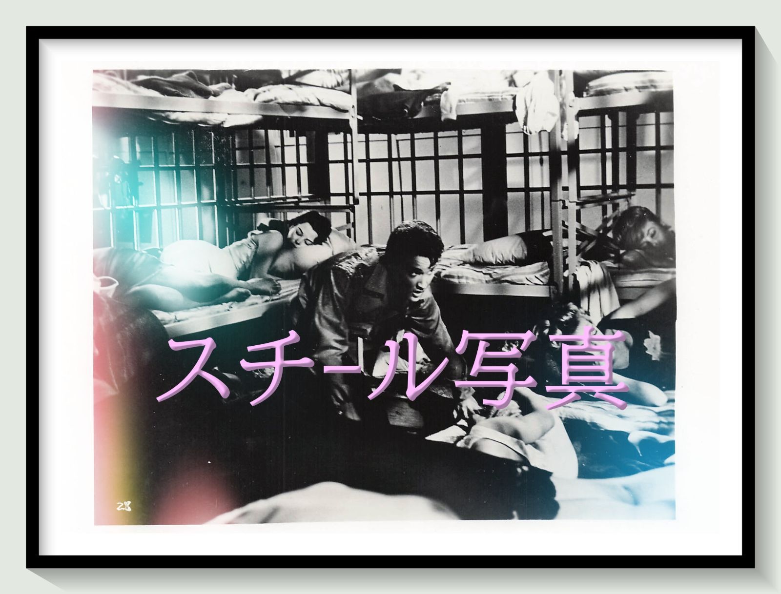 f『フロリダ万才』1965年映画劇場宣伝用正規オリジナルスチール写真