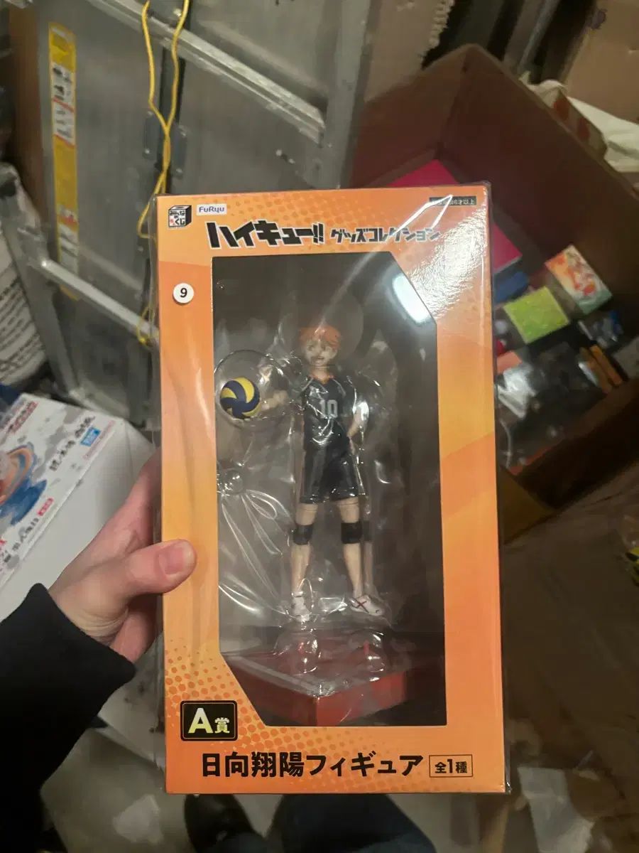 日向 aさん