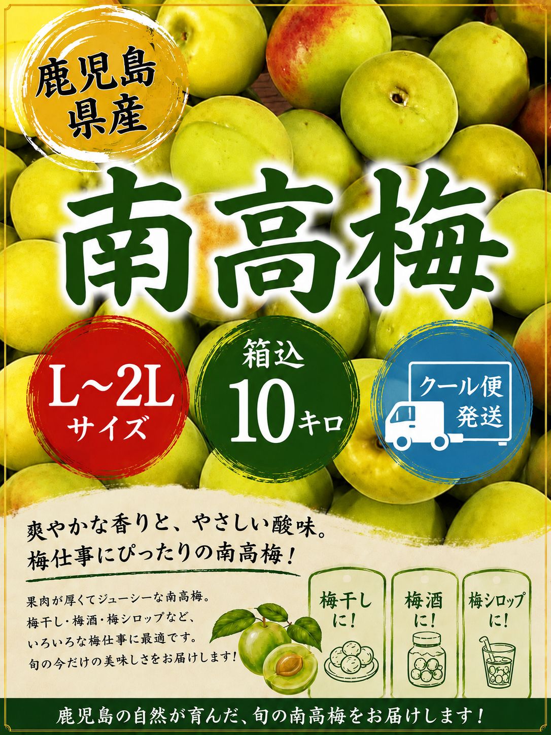 鹿児島県産 南高梅 L〜2Lサイズ 箱込10キロ