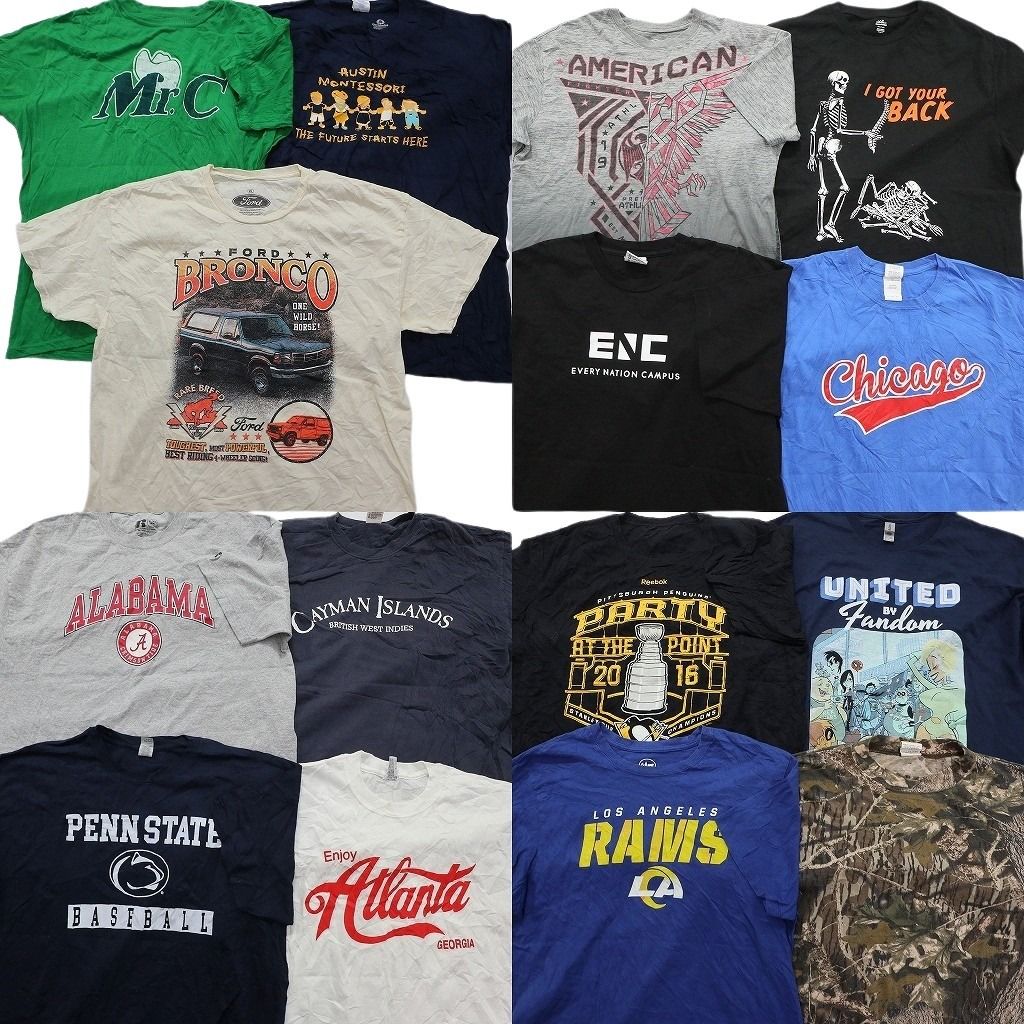 古着卸 まとめ売り プリント Tシャツ 15枚セット ( メンズ XL ) 車モチーフ リアルツリー カレッジ風 ラッセル スカル 中古 古着 NE7733