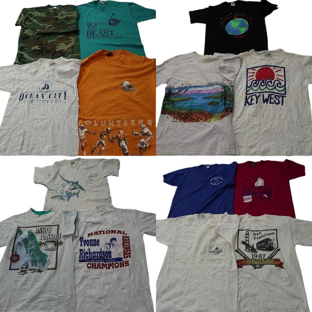 古着卸 まとめ売り ヴィンテージ シングルステッチ Tシャツ 14枚セット ( メンズ S/M ) ラッセル ヘインズ アニマル 動物 中古 古着 NE7752