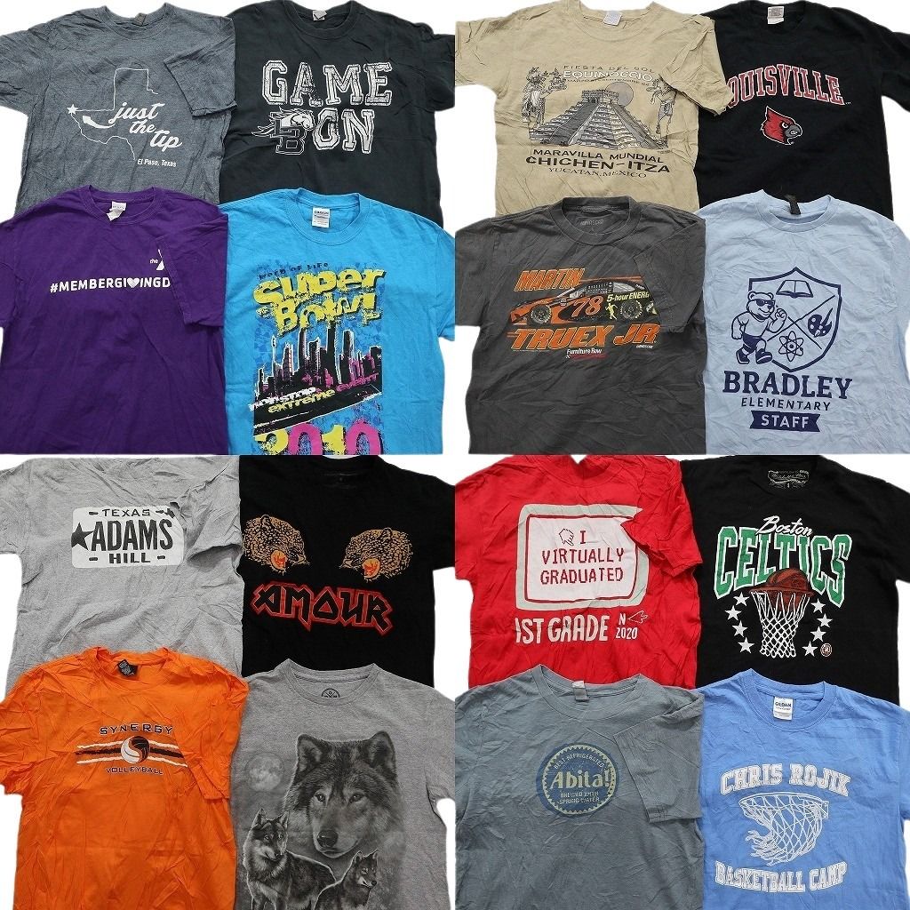 古着卸 まとめ売り プリント Tシャツ 16枚セット ( メンズ S/M ) 大判プリント アニマル 動物 レーシング 中古 古着 NE7767
