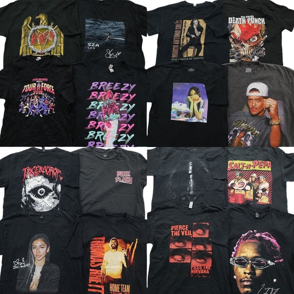 古着卸 まとめ売り 音楽・バンド Tシャツ 16枚セット ( メンズ L ) 人物 ピンクフロイド デスパンチ スレイヤー 中古 古着 NE7775 24,183円