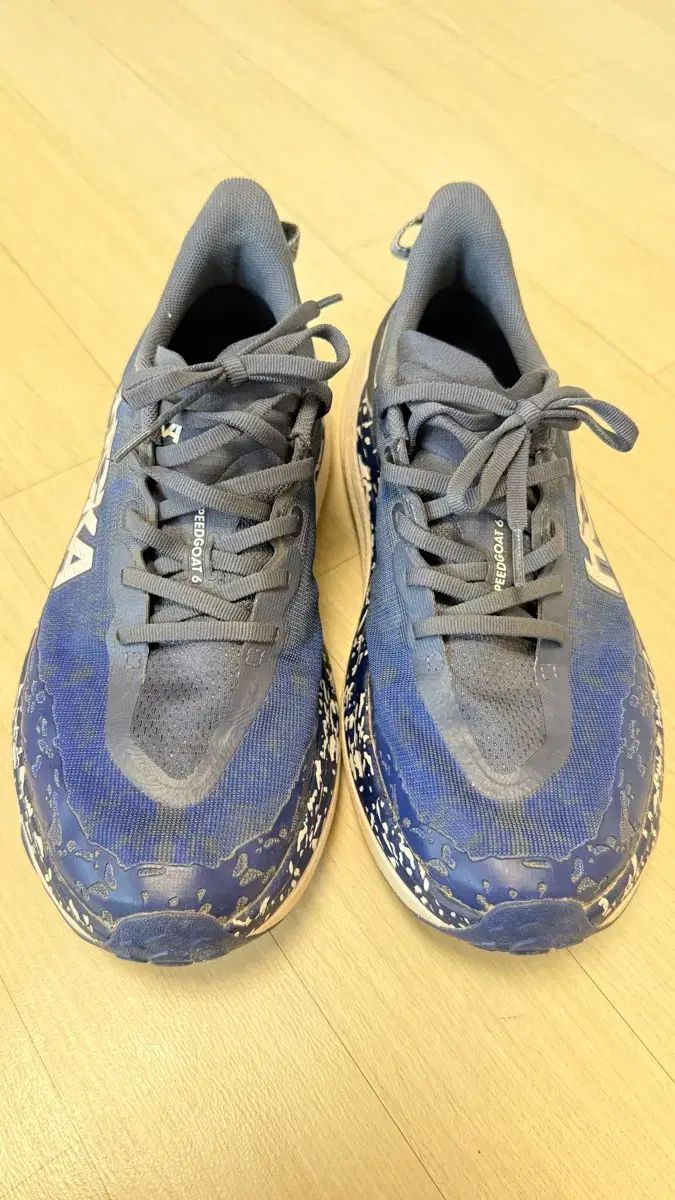 HOKA ONE ONE スピードゴート 6 ワイド 265