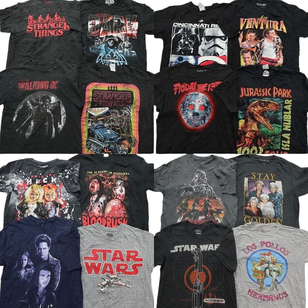 古着卸 まとめ売り 映画・ドラマ Tシャツ 16枚セット ( メンズ M ) チャッキー スターウォーズ ジュラシックパーク 中古 古着 NE7899