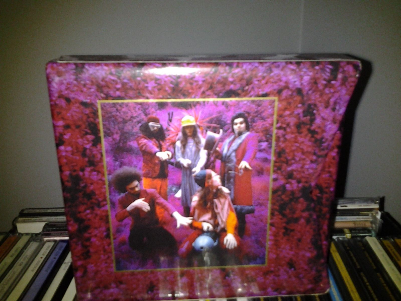 【CD】Grow Fins: Rarities 1965-1982 [ENHANCED CD] 10,650円