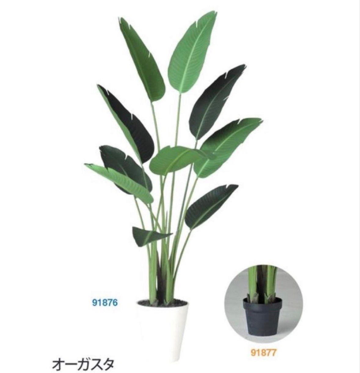 光触媒 人工観葉植物 ウォールグリーン フェイクグリーン オーガスタ
