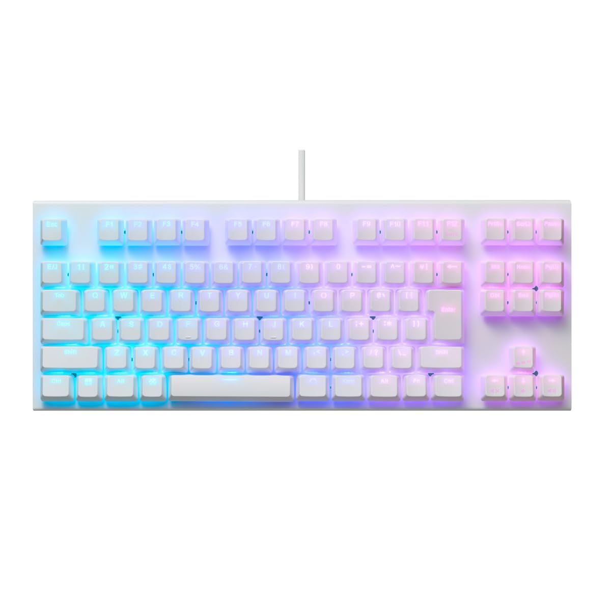 REALFORCE リアルフォース ラピッドトリガー キーボードGX1 ホワイト 静音 30ｇ TKLサイズ 静電容量無接点方式 最速0.1mm作動 Windows かな無し 日本語配列 日本製 ゲーミングキーボード 91キー [ホワイト 日本語配列 30g]