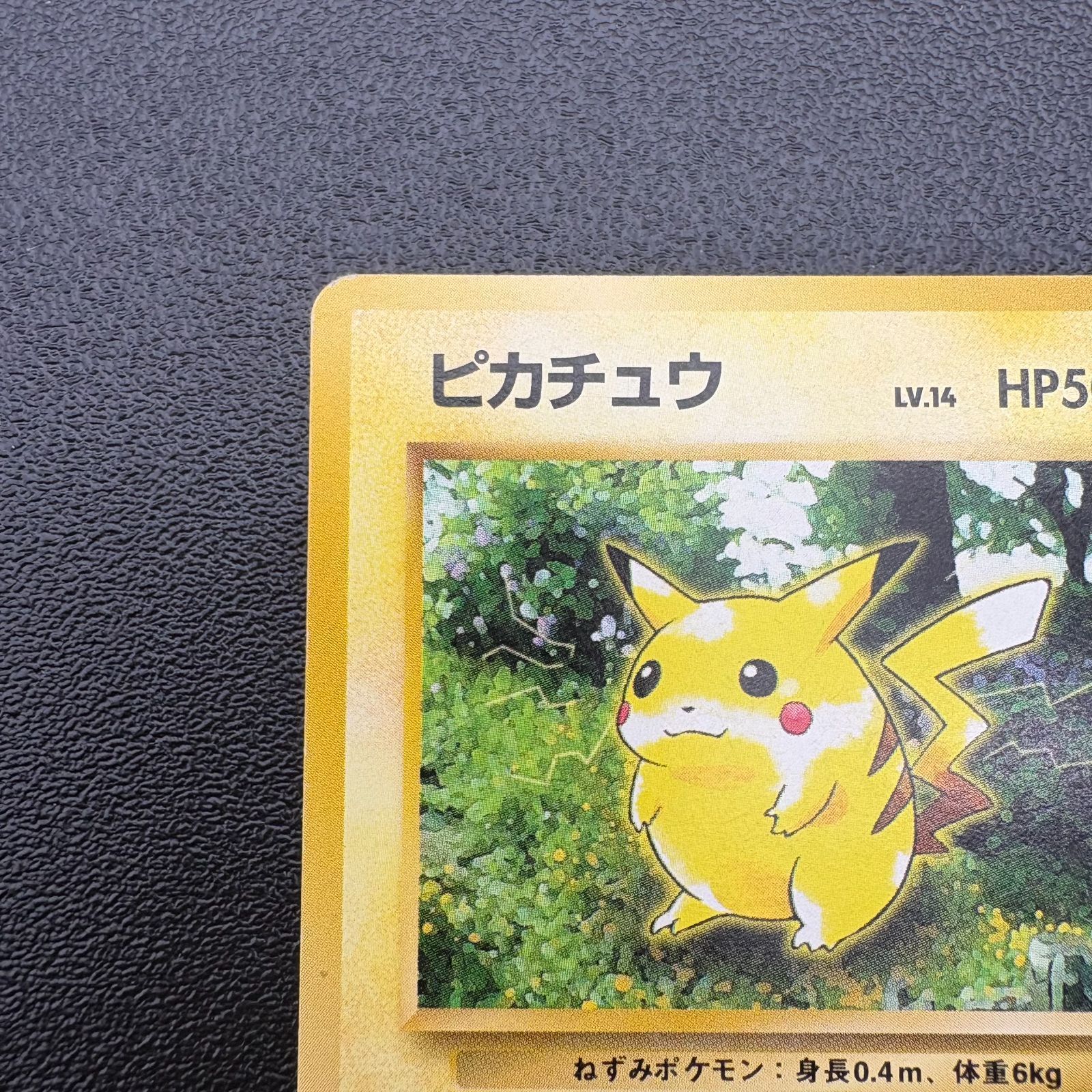 ピカチュウ LV.14 HP50 No.025 ポケモンカード 旧裏 当時物 [中古