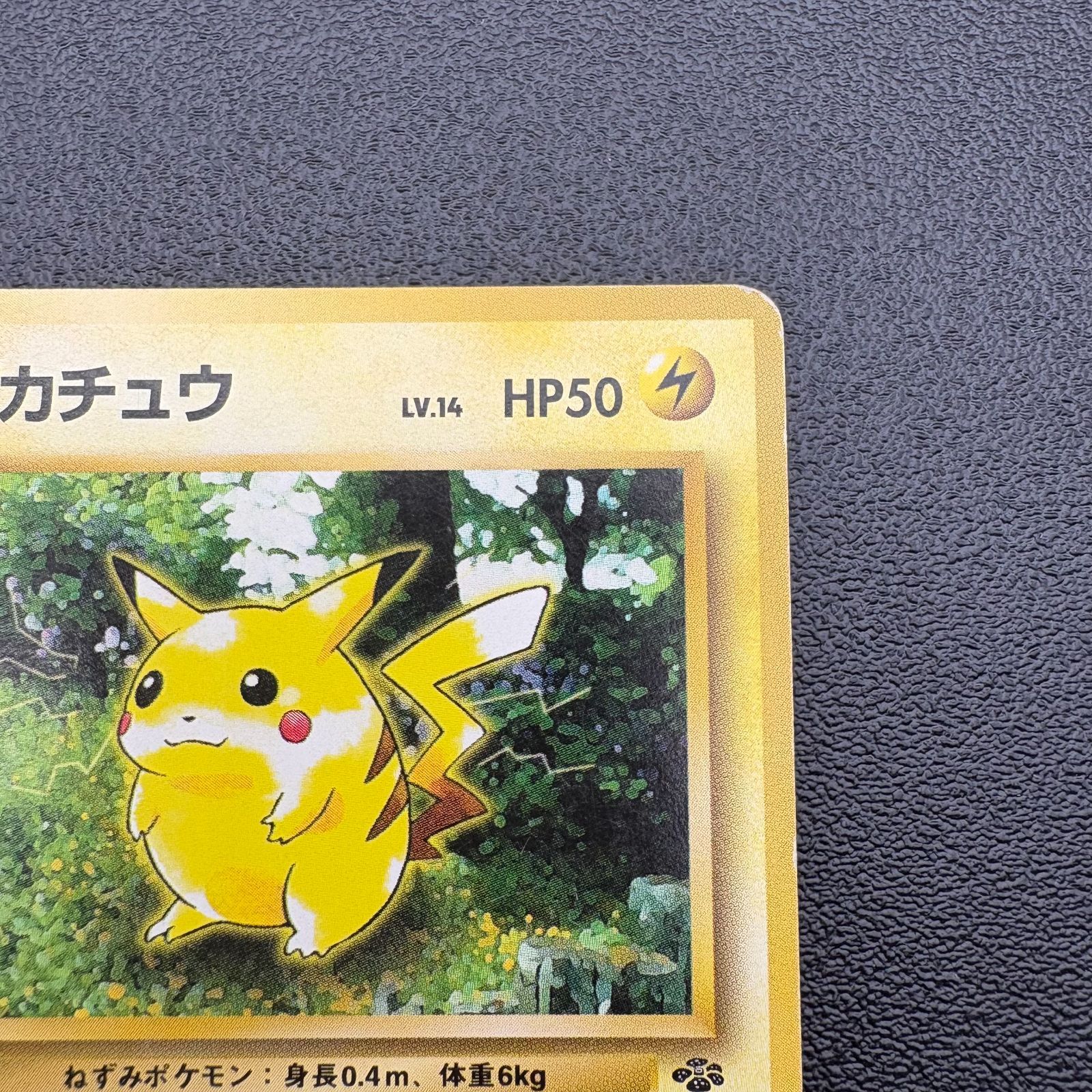 ピカチュウ LV.14 HP50 No.025 ポケモンカード 旧裏 当時物 [中古