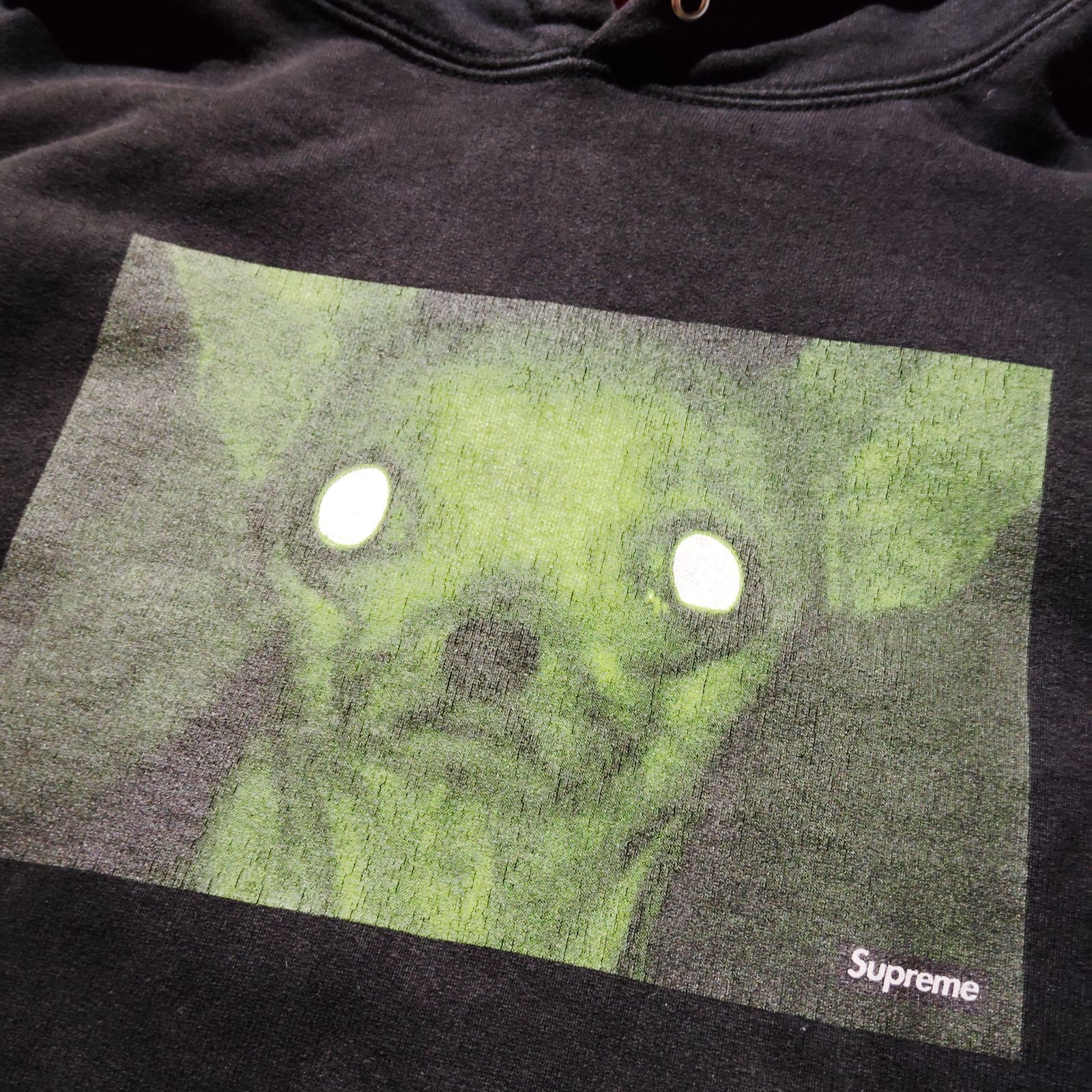 Supreme 18aw × Chris Cunningham Chihuahua Hooded Sweatshirt S