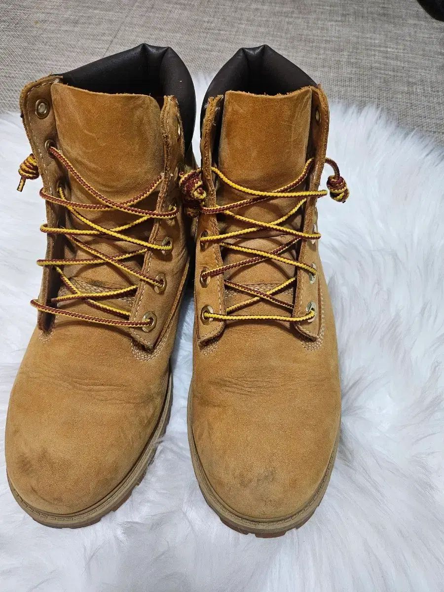 Timberland 6インチ ウォーカーブーツ