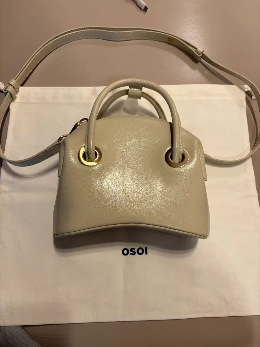 オソイ OSOI サークルカードロット ミニ アイポリー