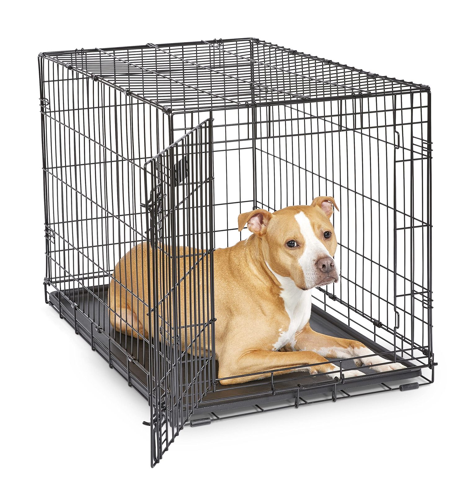 Midwest 1536 iCrate Single-Door Pet Crate 36-By-23-By-25-Inch by Midwest Homes for Pets