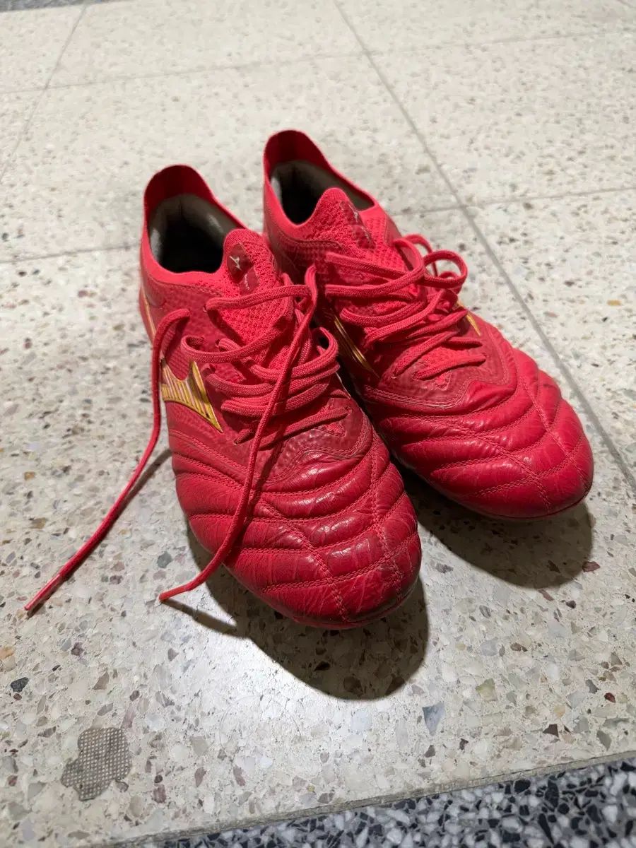 mizuno モレリア NEO₍ネオ)4 ベータ ジャパン 260