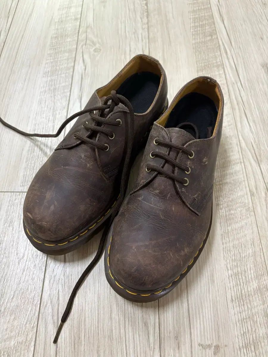 DR. MARTENS ドクターマーチン 1461 3ホール クレイジーホットソース レイ バージョン 240