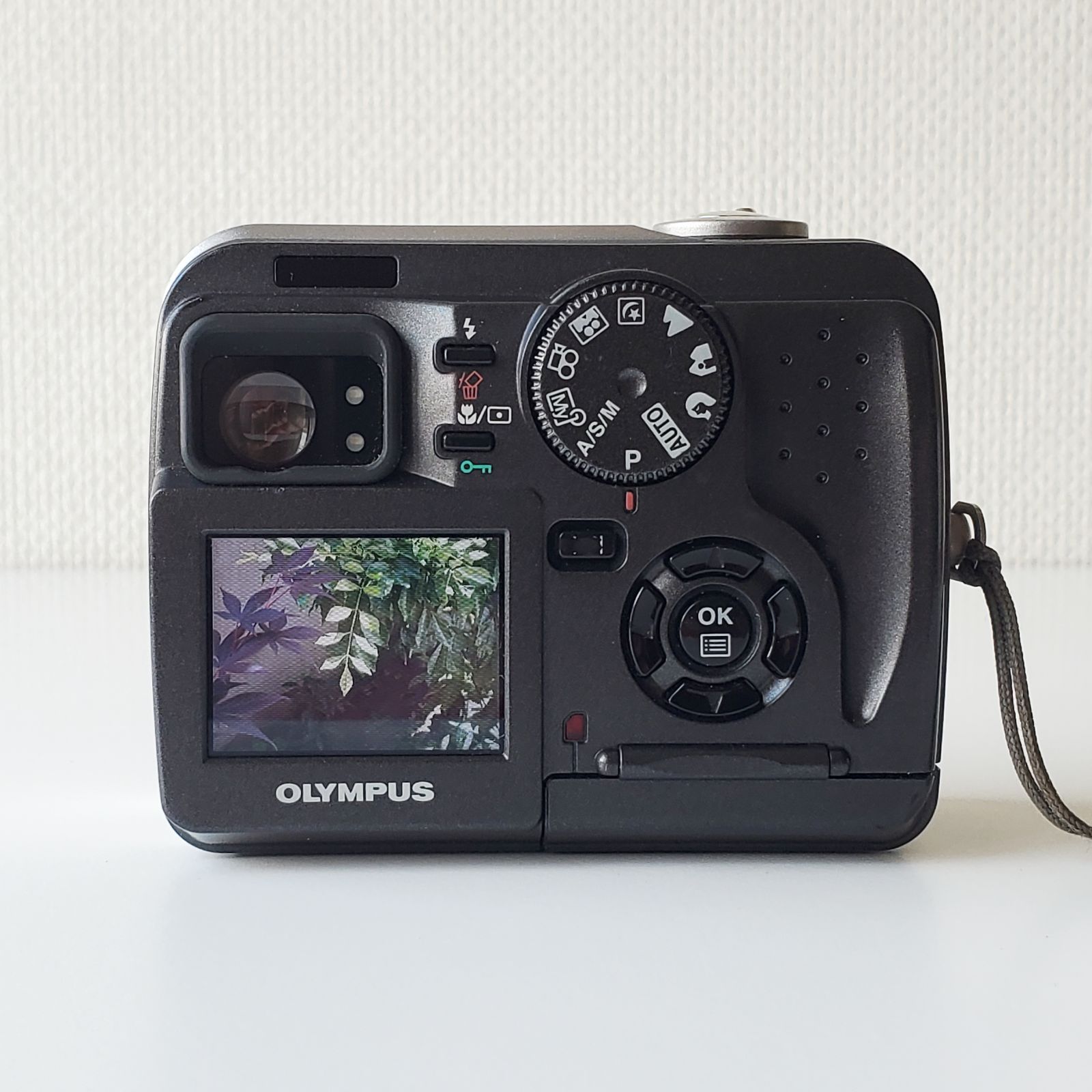 OLYNPUS デジカメ カメラ C-70 CAMEDIA オリンパス 3135 実写作例 スマートメディアをおまけ♪ 通電・基本動作確認 オリンパス