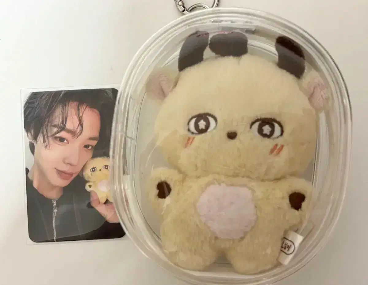 (現物) パク・ジフン(PARK JIHOON) 소심이 ぬいぐるみ