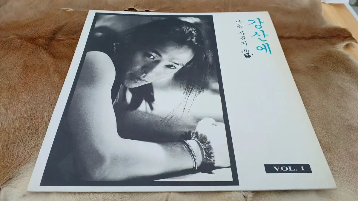 韓国国内 LP 江山へ 1 家 ー 飛ぶ 思春期の （ EX ）