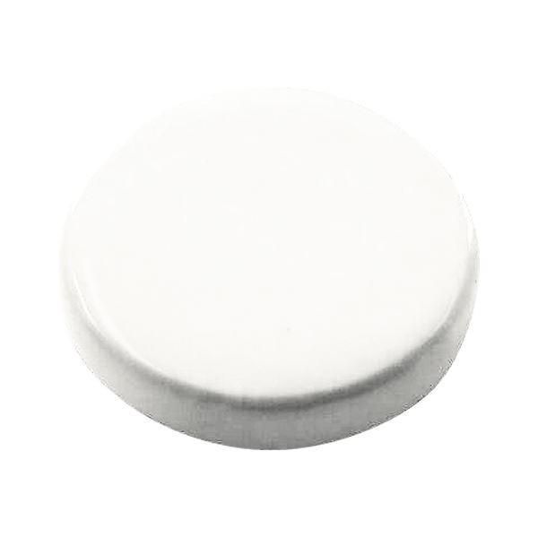 （まとめ） スクールマグタッチ 強力タイプ 径30mm CR-MG30S-W 白 2個入 〔×10セット〕