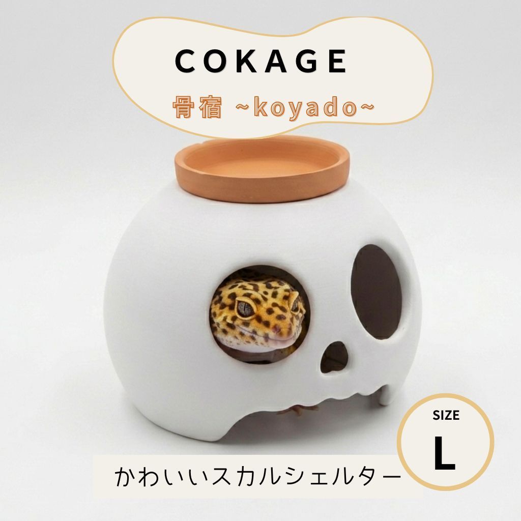 COKAGE【ウェット骨宿 L】 爬虫類シェルター ボーンシリーズ 大型