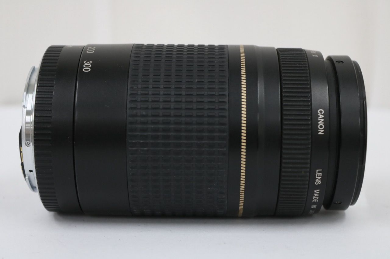【訳あり品】 キャノン Canon EF 75-300mm F4-5.6 II レンズ e11989