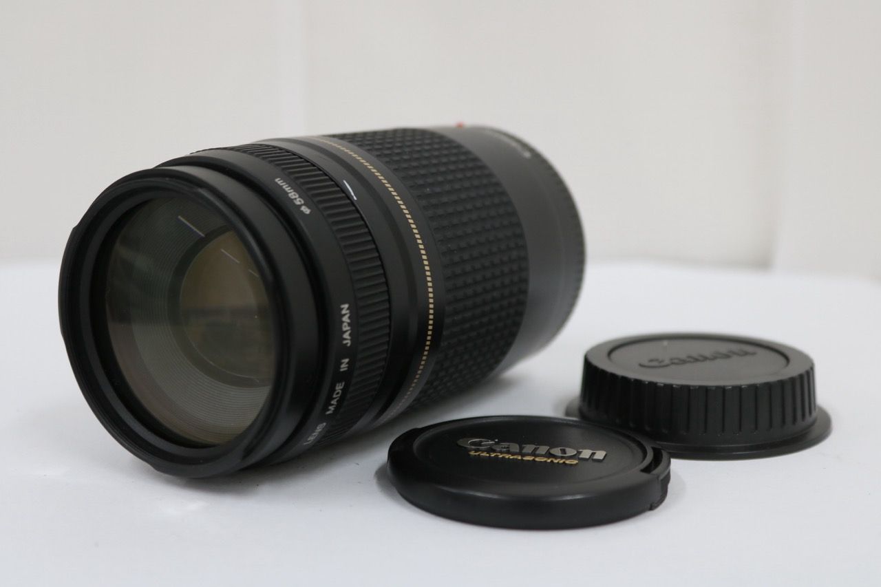 【返品保証】 キャノン Canon EF 75-300mm F4-5.6 II ULTRASONIC 前後キャップ付き レンズ e11990