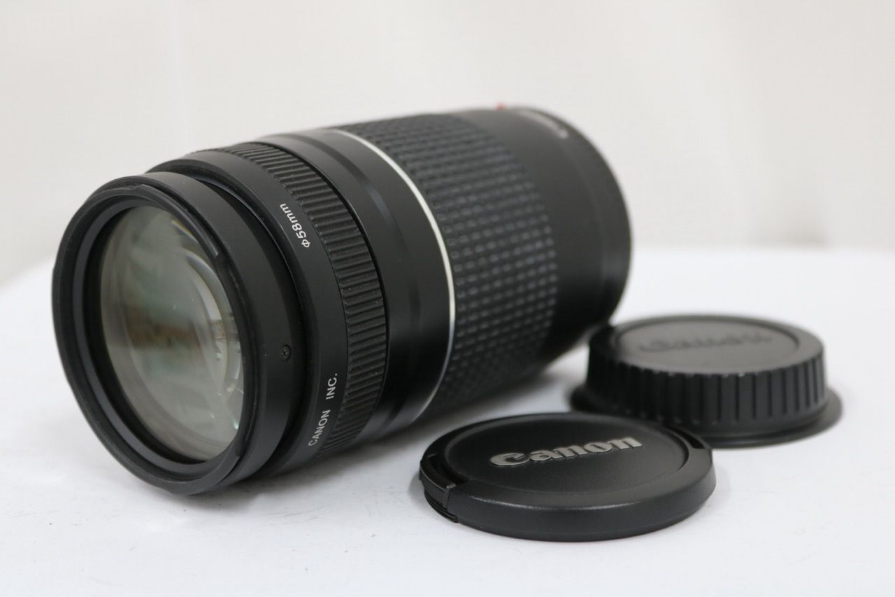 【返品保証】 キャノン Canon EF 75-300mm F4-5.6 III レンズ e11951