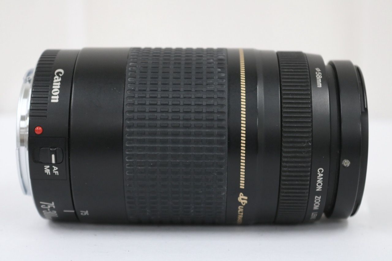 【訳あり品】 キャノン Canon EF 75-300mm F4-5.6 II レンズ e11989