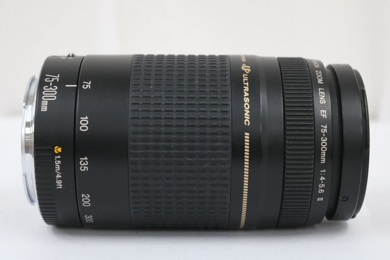 【訳あり品】 キャノン Canon EF 75-300mm F4-5.6 II レンズ e11989