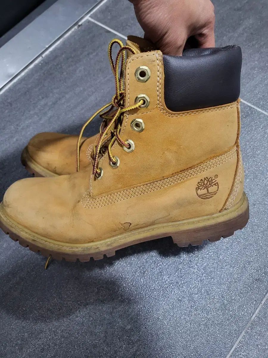 Timberland 6インチ ウォーカーブーツ W7 5 ベージュ