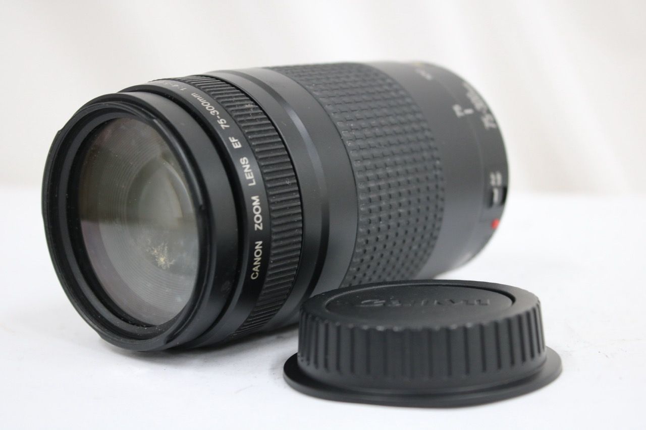 【訳あり品】 キャノン Canon EF 75-300mm F4-5.6 II レンズ e12149