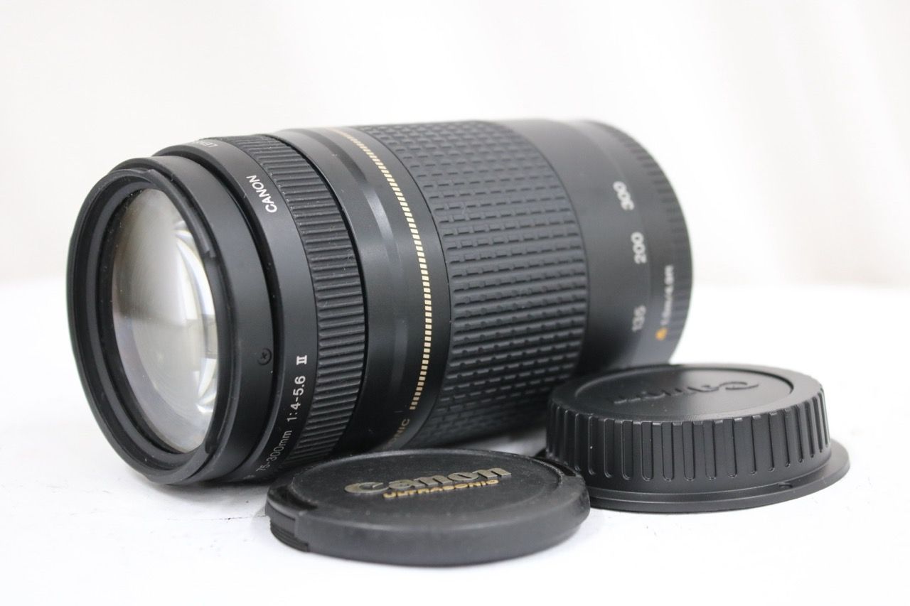 【返品保証】 キャノン Canon EF 75-300mm F4-5.6 II ULTRASONIC 前後キャップ付き レンズ e12267