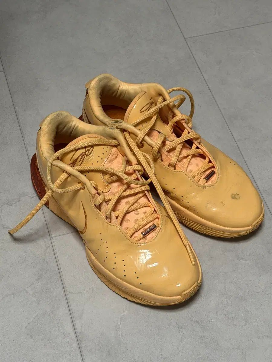 レブロン21 バスケシューズ 280 の商品写真