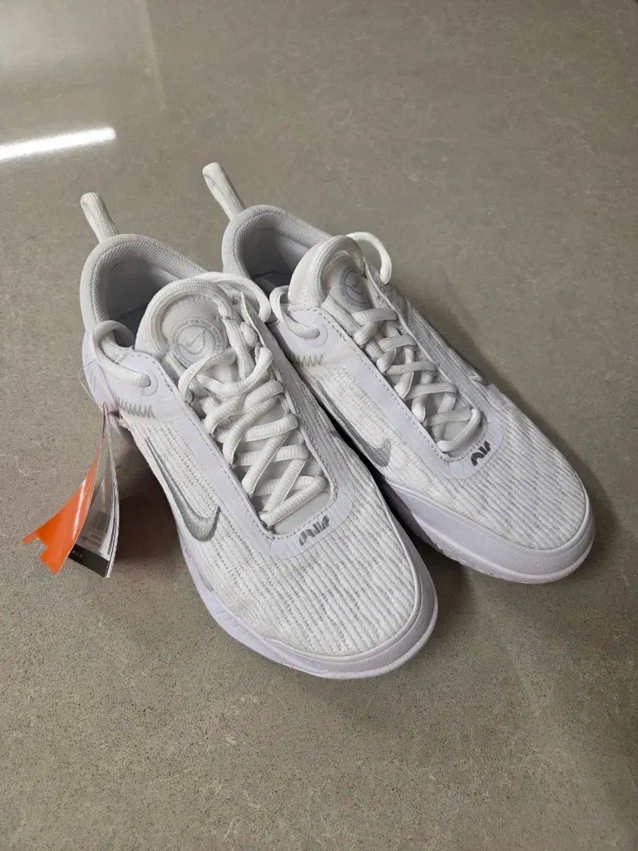 *新品*ウィメンズ NIKE ズームコート nxt hc