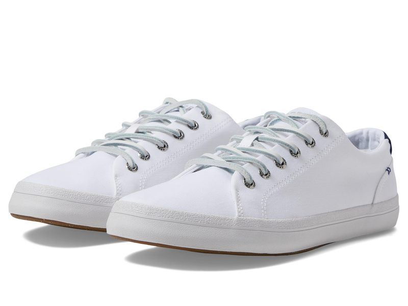 スペリー メンズ シューズ スニーカー Sperry Striper II LTT White 