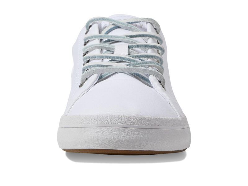 スペリー メンズ シューズ スニーカー Sperry Striper II LTT White 