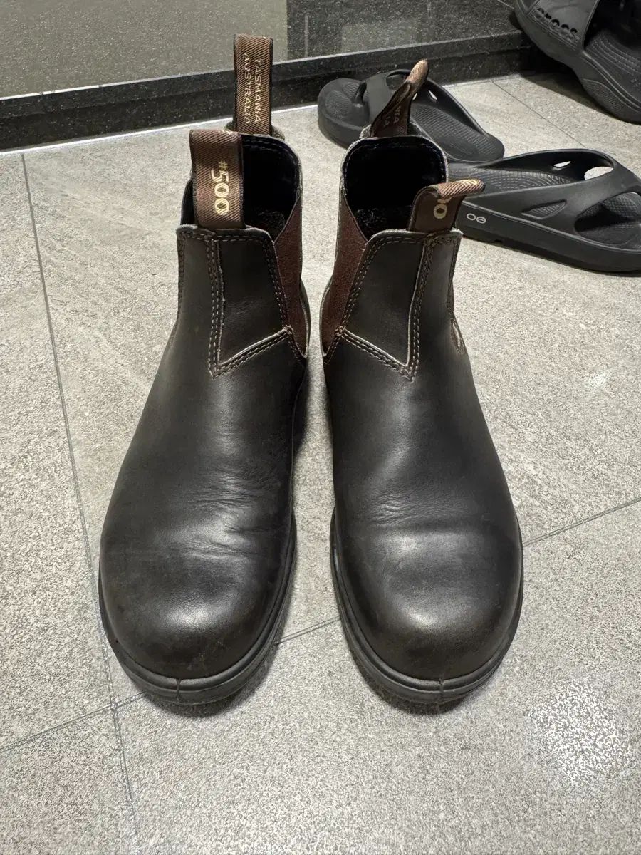 Blundstone (ブランドストーン) 500 チェルシーブーツ_スタウト ブラウン (260-265cm)