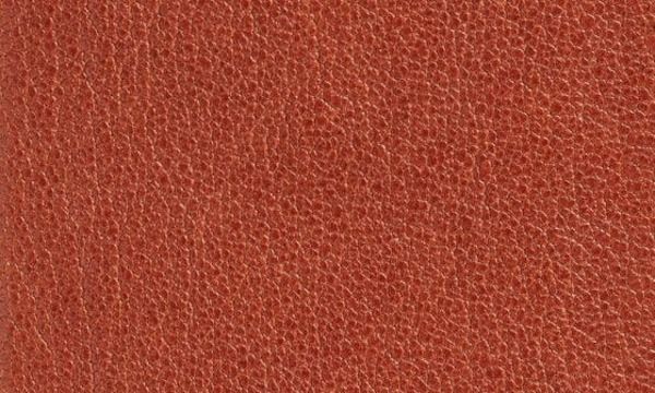レイナ レディース アクセサリー ベルト フラワー柄 レザー フラワー Raina Floral Buckleather Belt Cognac