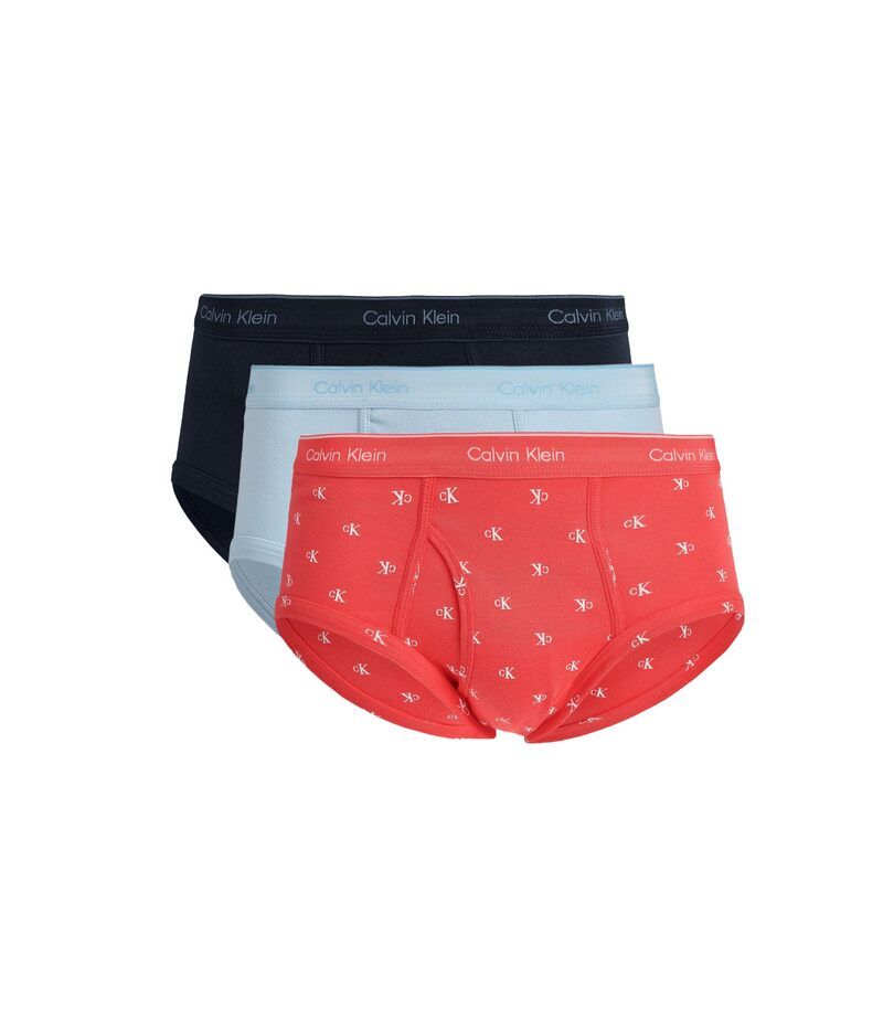 カルバン クライン アンダーウェア メンズ ブリーフパンツ コットン Calvin Klein Underwear Cotton Classics Brief 3Pack ShorelineDiamond Logo Punch PinkBreezy Blue