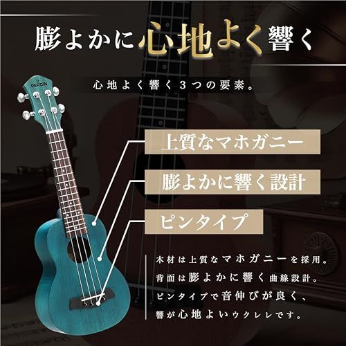 新品　マホガニーウクレレ　ソプラノサイズ ウクレレ 初心者 セット 入門 2点〜6点 aNueNue aNN-US マホガニー材